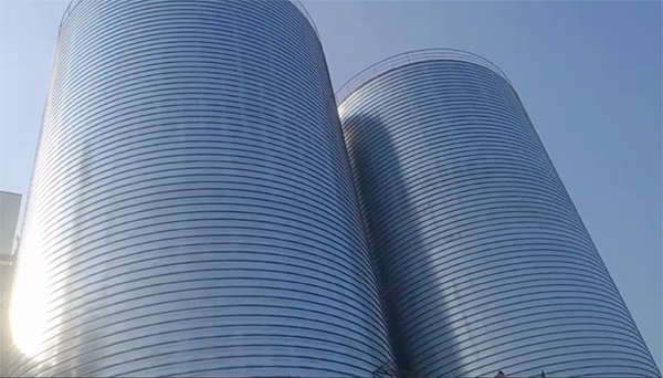 南皮2座混凝土高架卷板仓